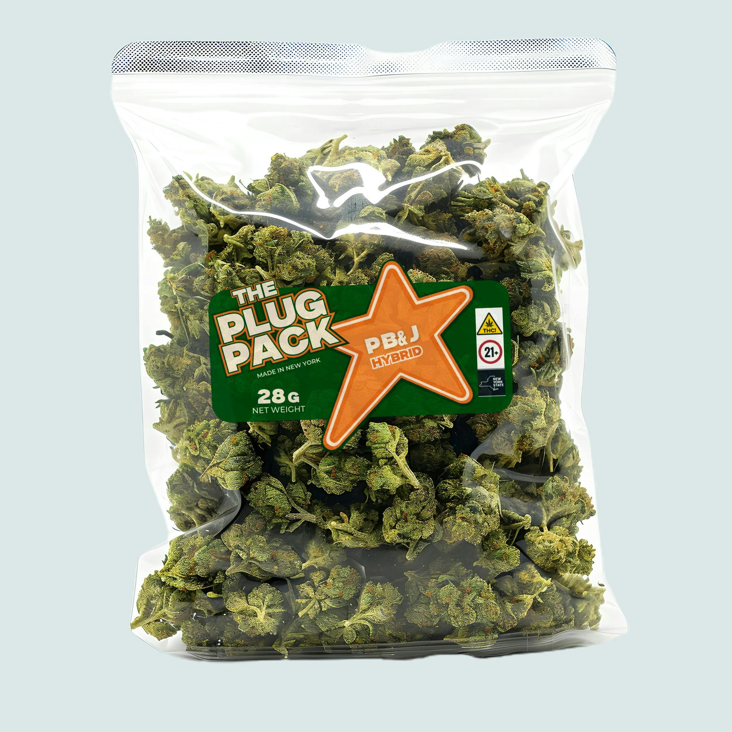 The Plug Pack Sapphire Haze