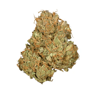 Orchid CBD Flower