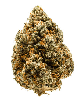 BOOM BOX Bass Drop Flower - Indica