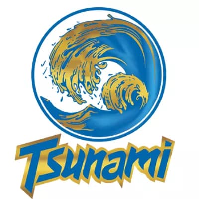 Tsunami Tsunami Valley Oasis Cake (H) Live Resin Sugar 1g