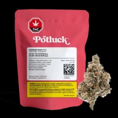 Potluck Raspberry Runtz by Potluck - Raspberry Runtz