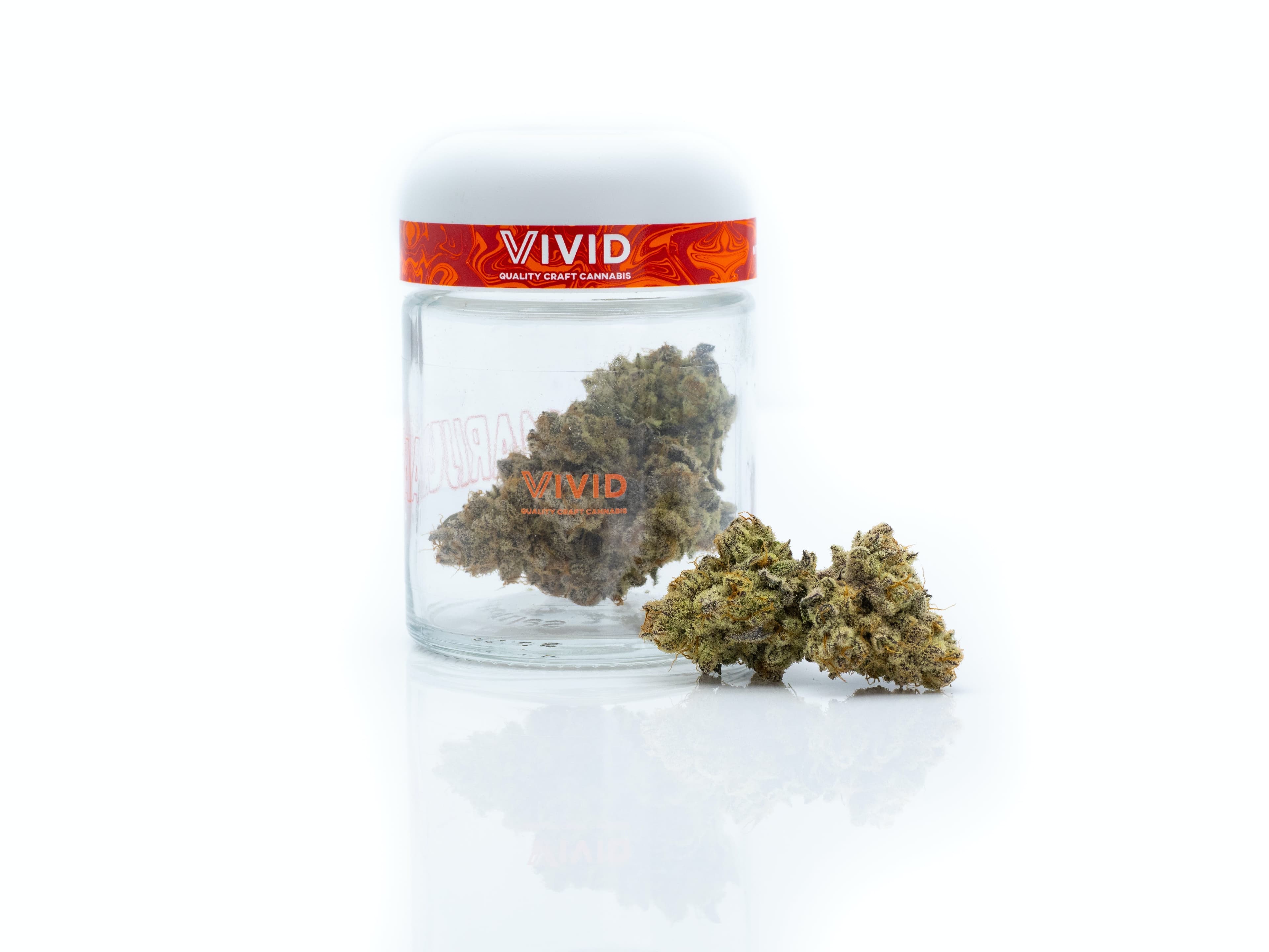 Vivid Brands