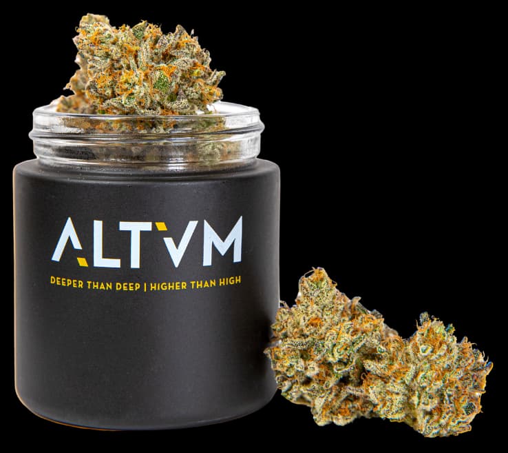 ALTVM