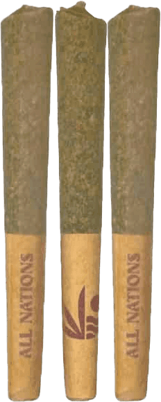 ALL NATIONS STO:LO Haze Pre-rolls 3x0.5g | 1.5g