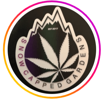 Snow Capped Gardens Shazam Single by Snowcapped Gardens