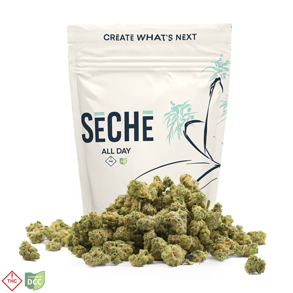 SeCHe Phantom Worx