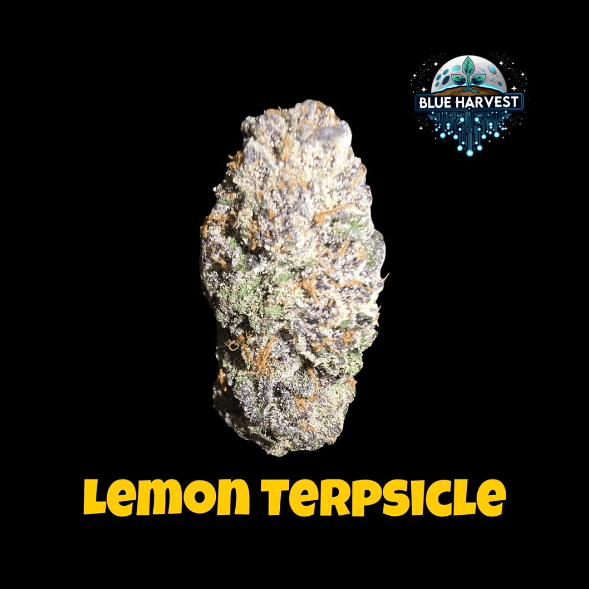 Blue Harvest Lemon Terpsicle (S-H) Flower | 1g