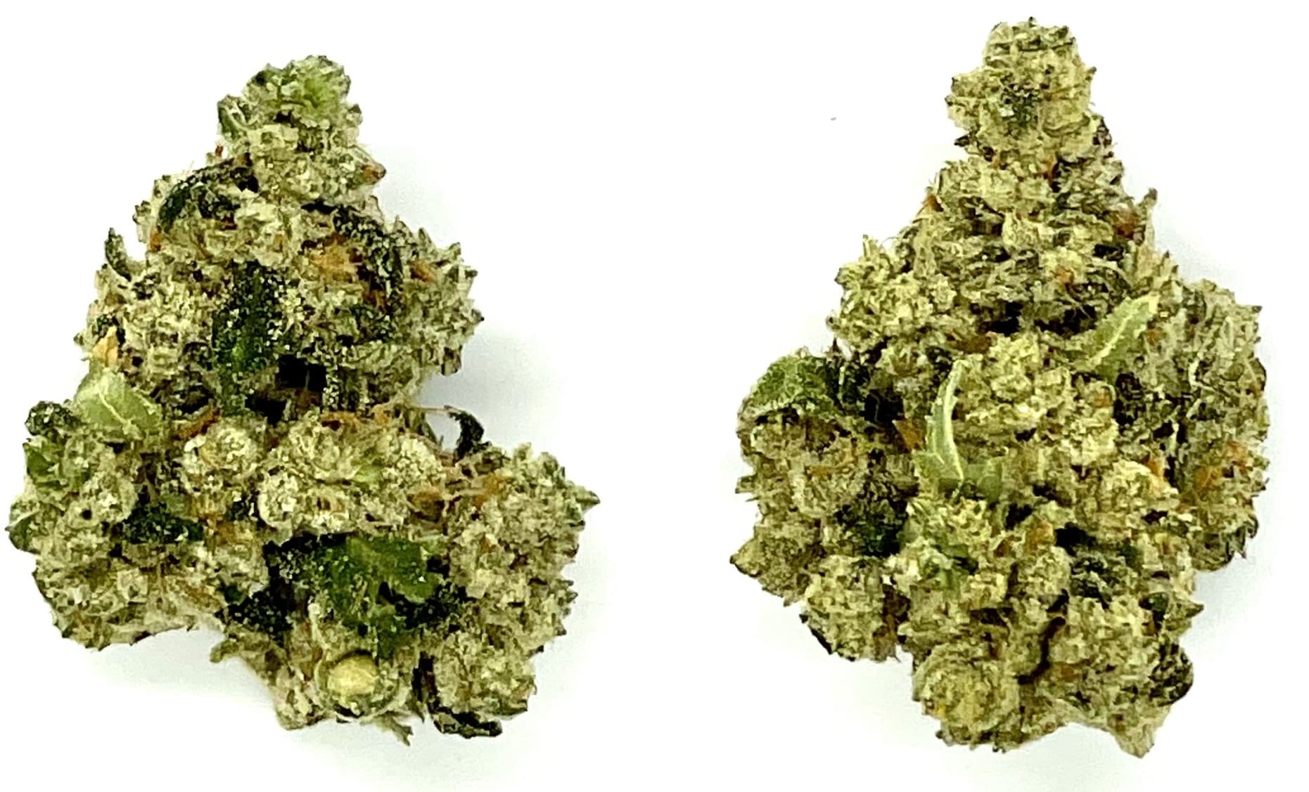 MT Kush Buds | Lemon Head