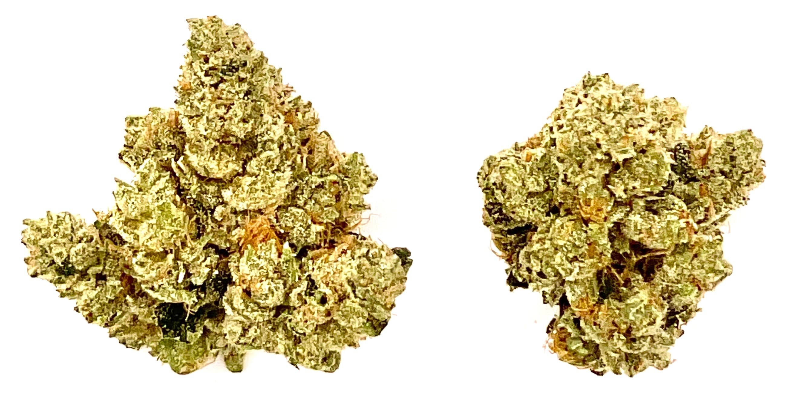 MT Kush Buds | Ghost OG