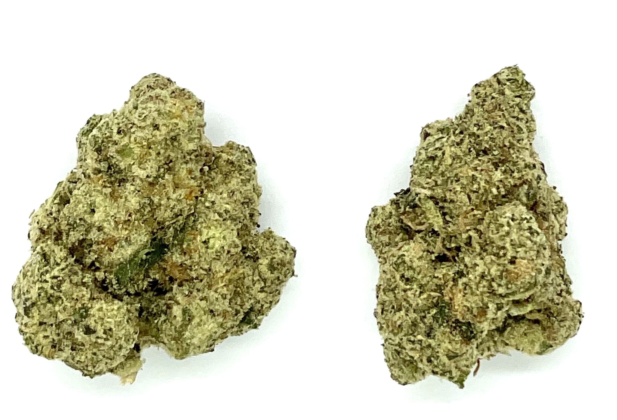 MT Kush Buds | GMO