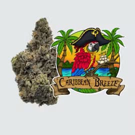 Lazy River Products Caribbean Breeze #6