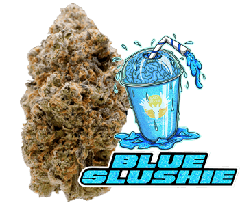 Lazy River Products Blue Slushie