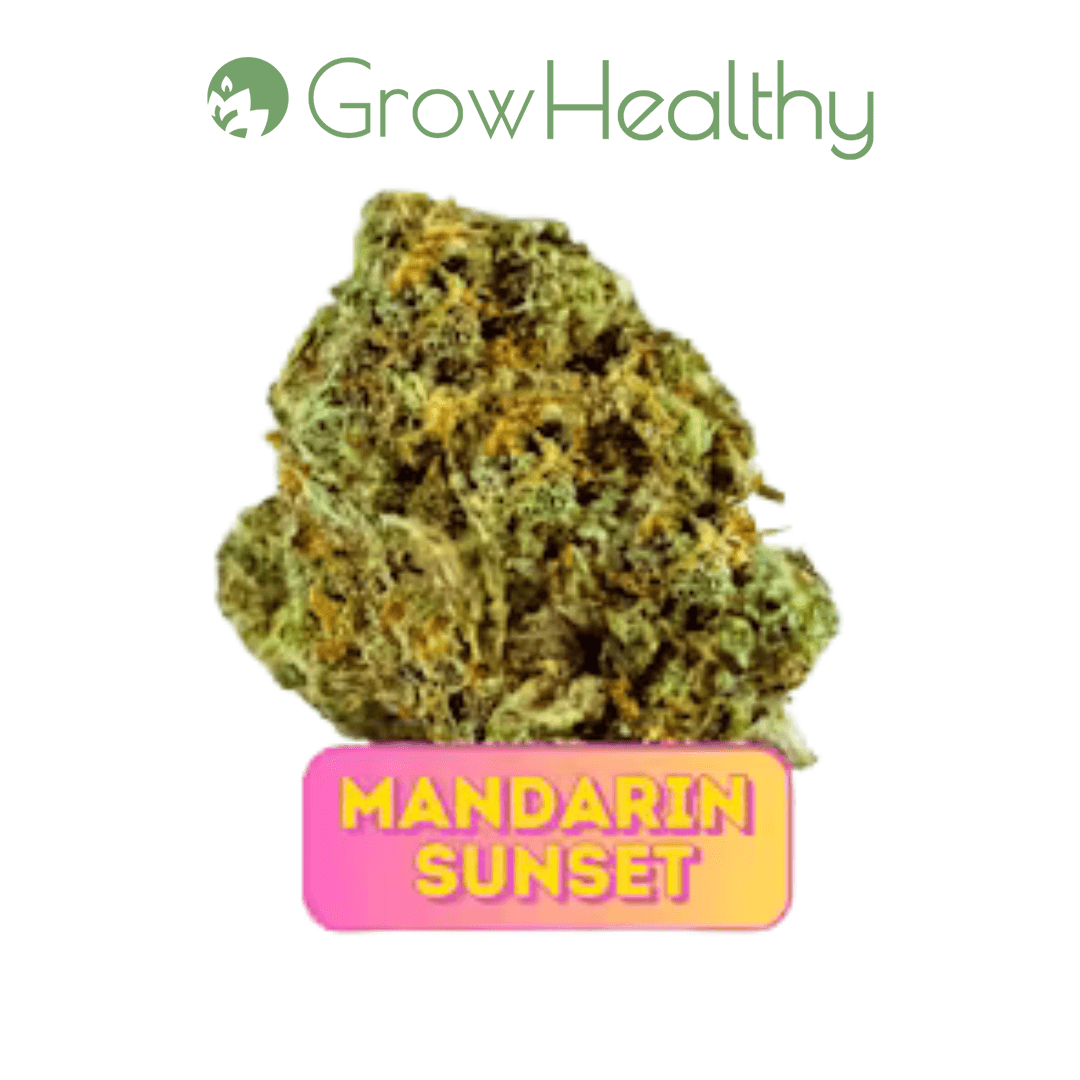 GrowHealthy Mandarin Sunset Flower