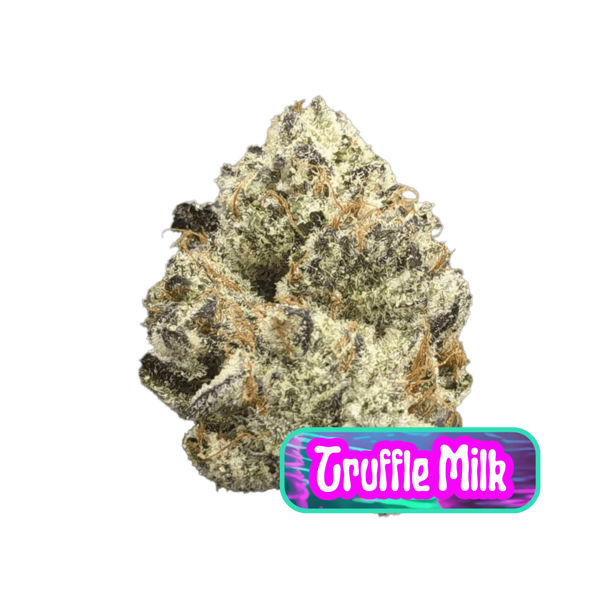 GrowHealthy Truffle Milk Flower