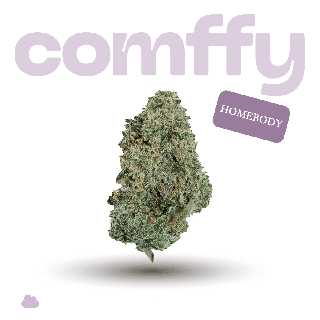 Comffy Homebody (I) Flower C0140000224