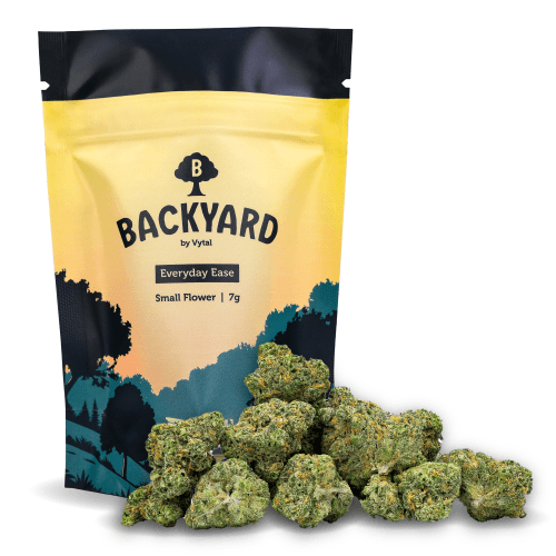 Backyard Grape Zest Diesel Small Flower
