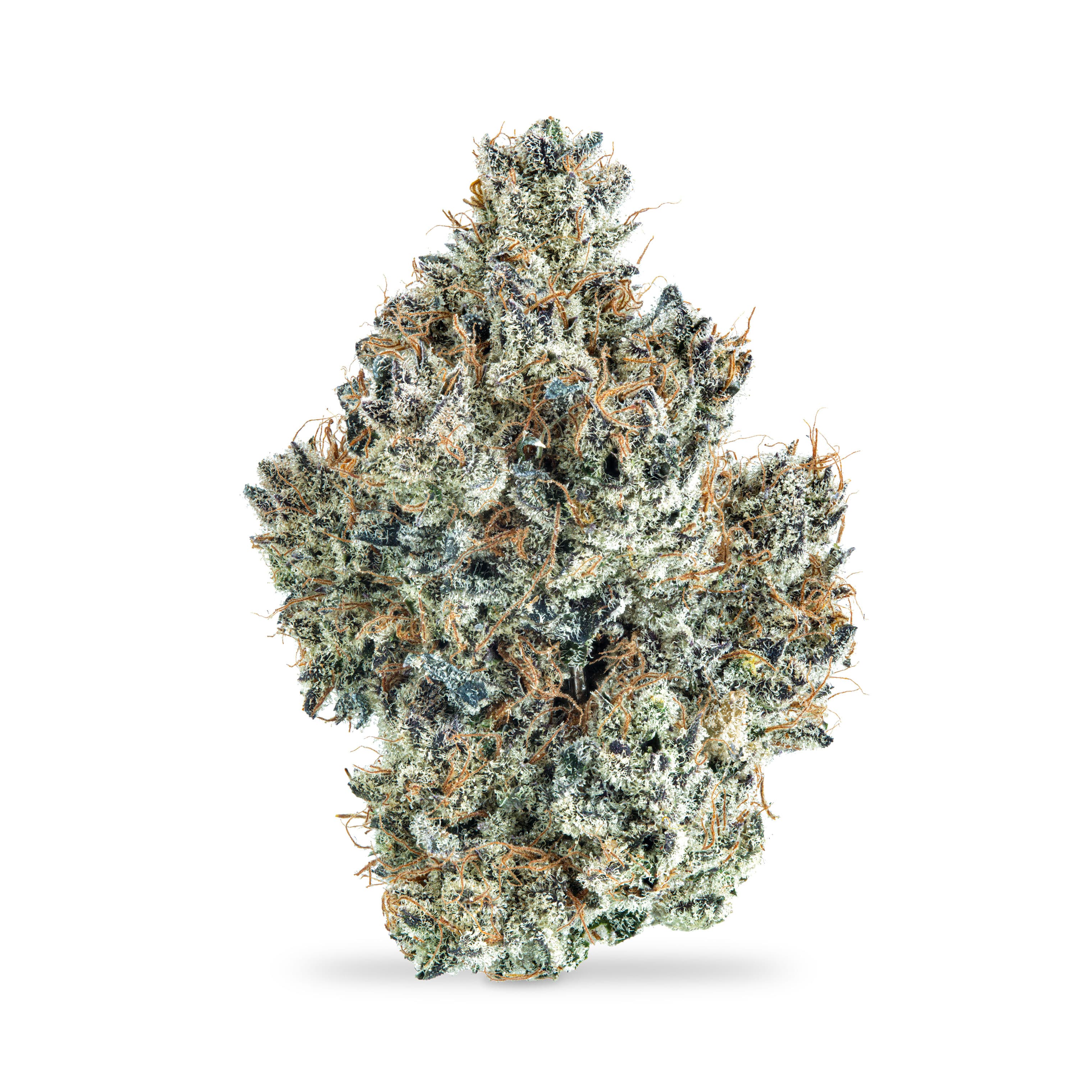 Frost Factory Daily Grapes
