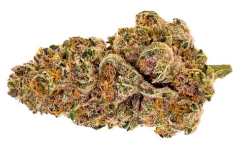 Pure Sunfarms