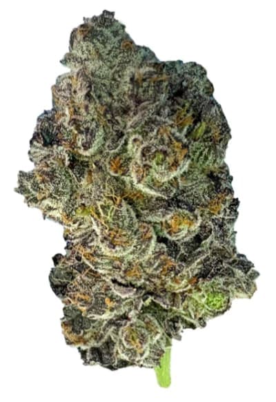 Valhalla Flwr PINK ZKITTLEZ LTO - 7