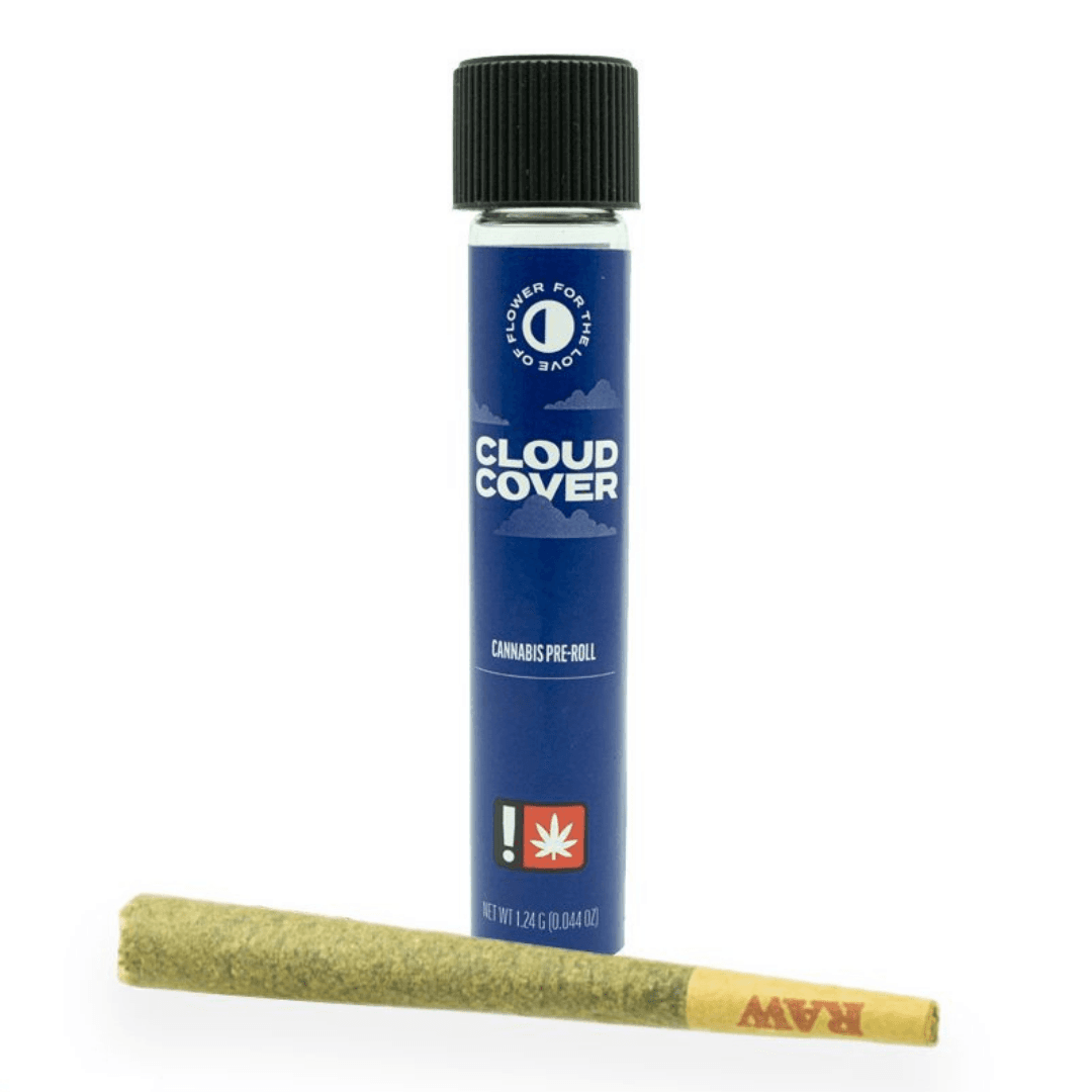 Cloud Cover Jokerz | Single Pre-roll | 1g