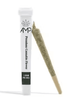 AMP Pre-Roll - Lilac Diesel