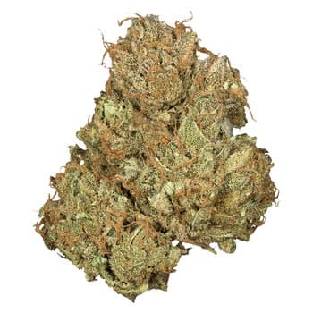 Orchid CBD Flower