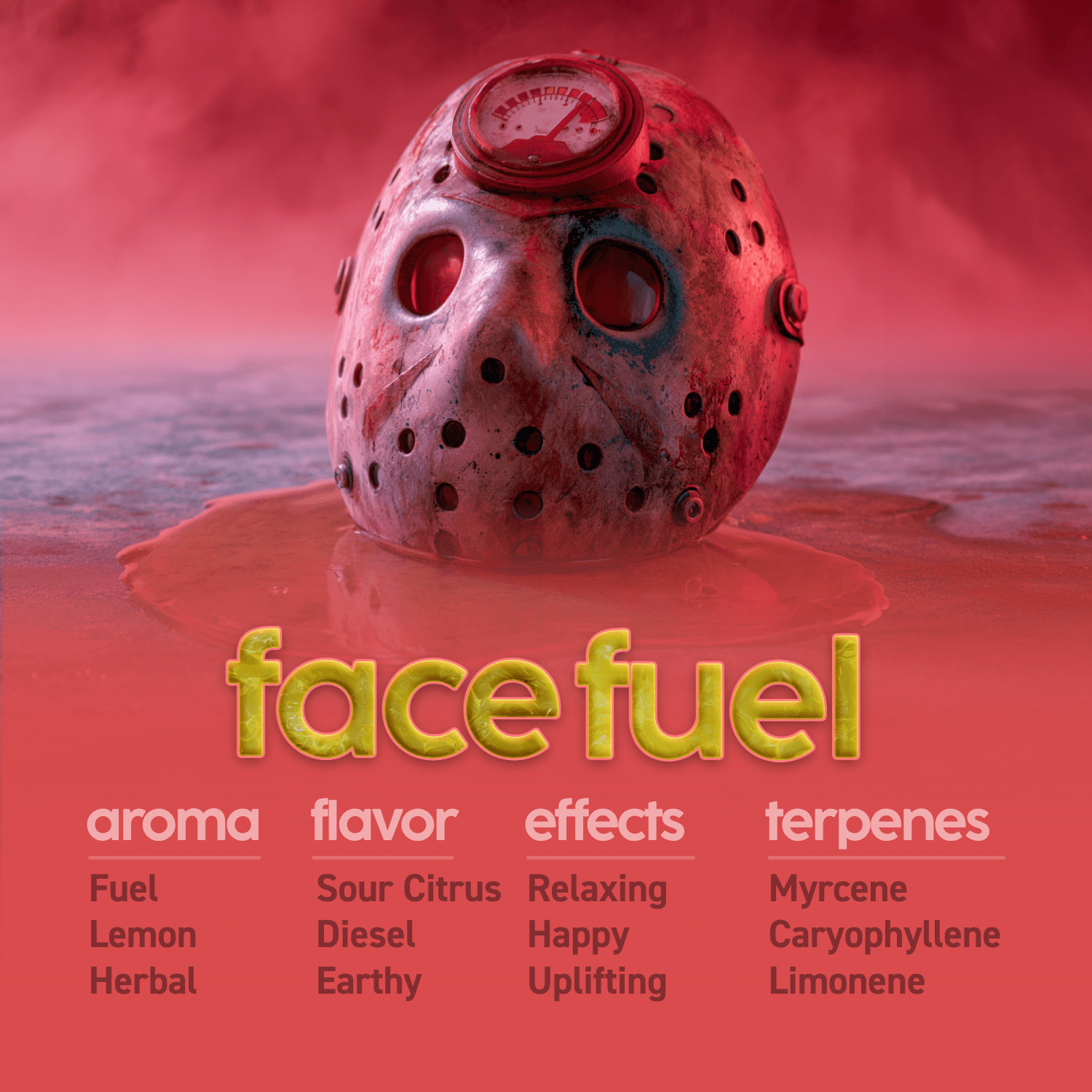 KYND Face Fuel Flower