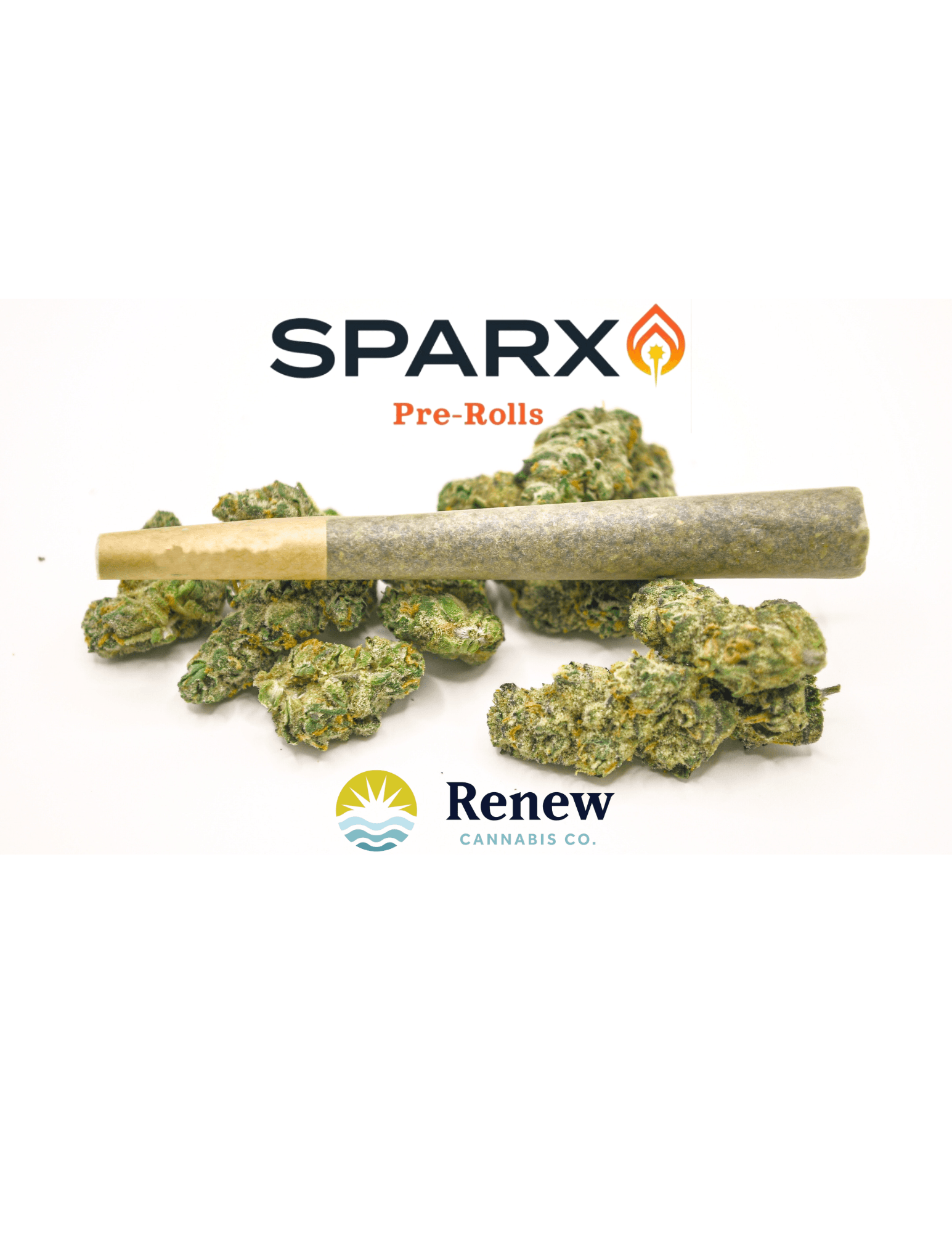 SPARX Red Velvet