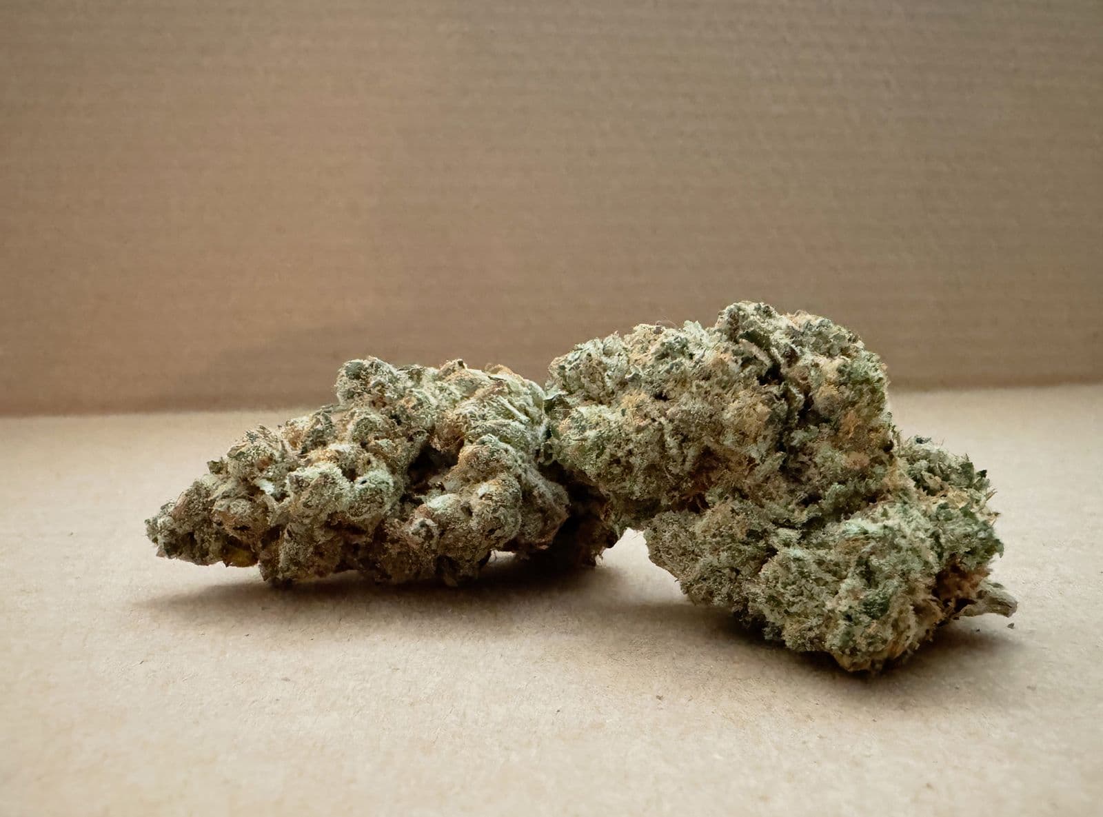 Craft Hydroponic