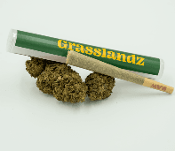 Grasslandz Glue 31 | Pre-Roll | 1G