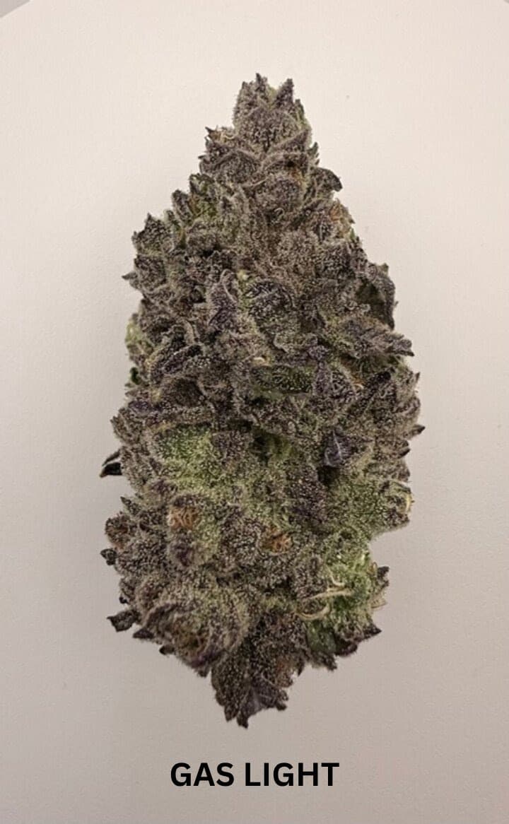 Battenkill Buds Gas Light | Indica/Hybrid | 3.5g Small Batch Flower