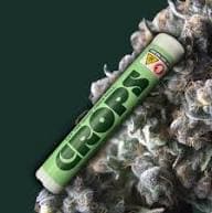 Crops Animal Mint Cake Pre-Roll | 1g