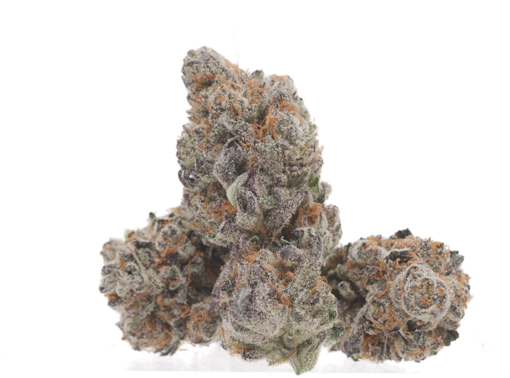 Garden Valley AG Garden Valley Ag Romulan Cherry Pie Flower (NEW)