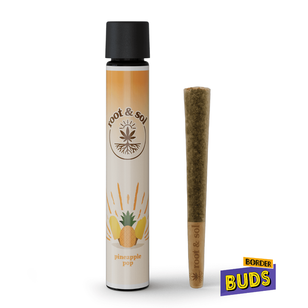 Root and Sol Pineapple Pop | 2g Infused Preroll