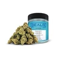 DEALR Alpha Blue by DEALR - Alpha Blue