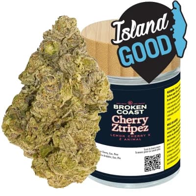 Broken Coast