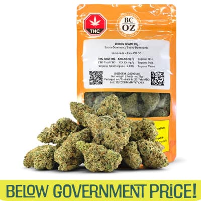 BC OZ (C) Lemon Headz