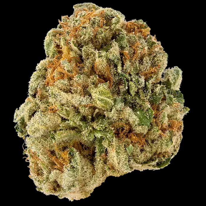 Campfire Cannabis LKF Grapes N Cream