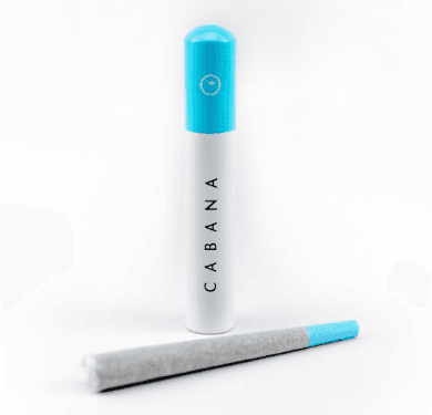 Cabana MOTOR BREATH Preroll