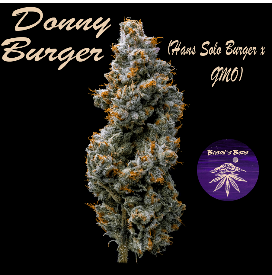 Bacon's Buds Donny Burger (DOH)
