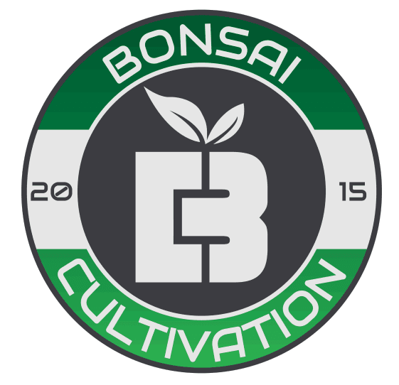 Bonsai Bonsai Flower Rum Cake