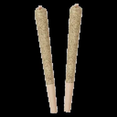 Bing Cherry Infused - Standard Issue - Infused Joints