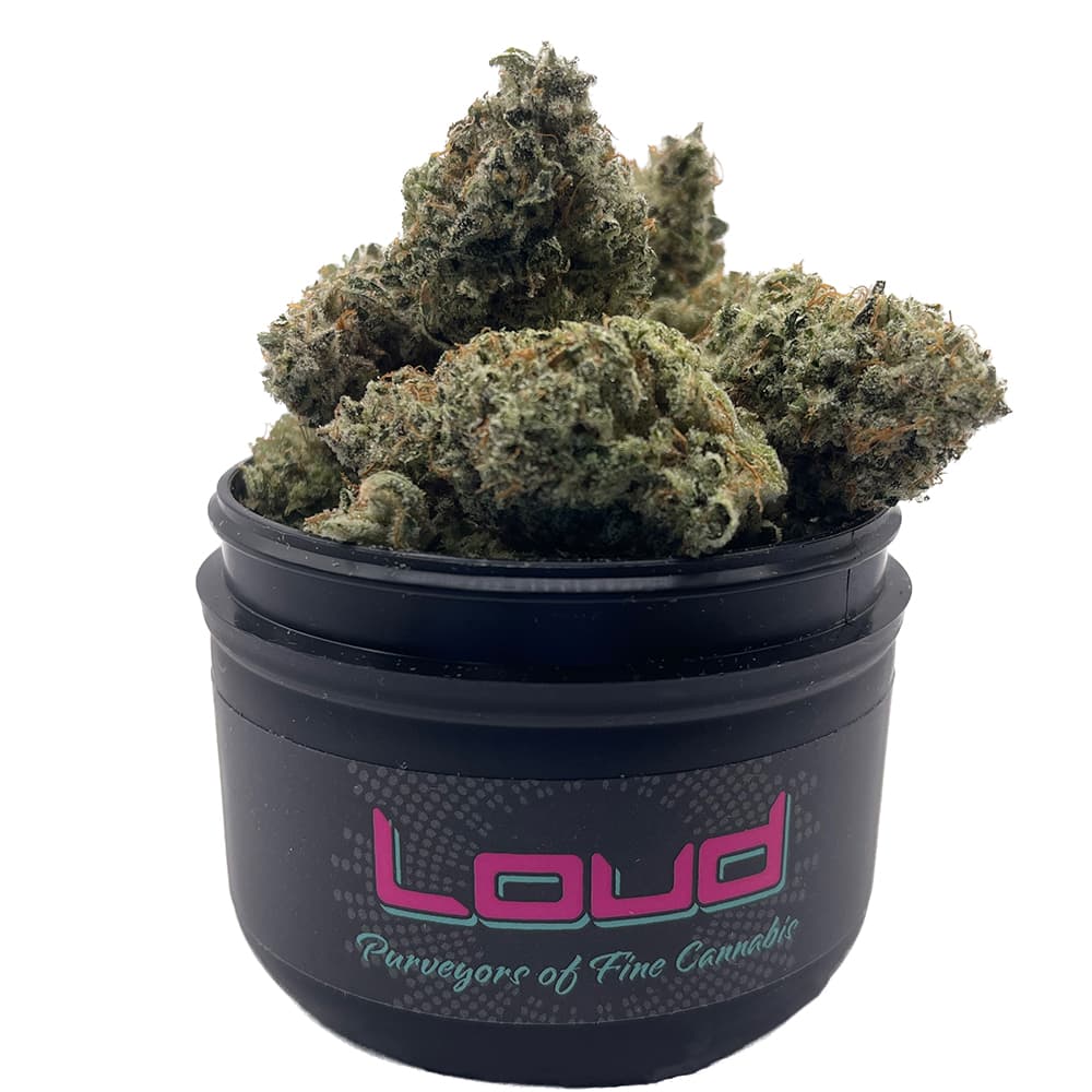 LOUD Sour Animal