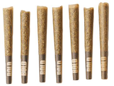 BOLD Bold Root Beer Float Prerolls 7x0.5g