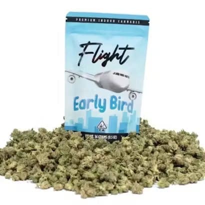 Flight