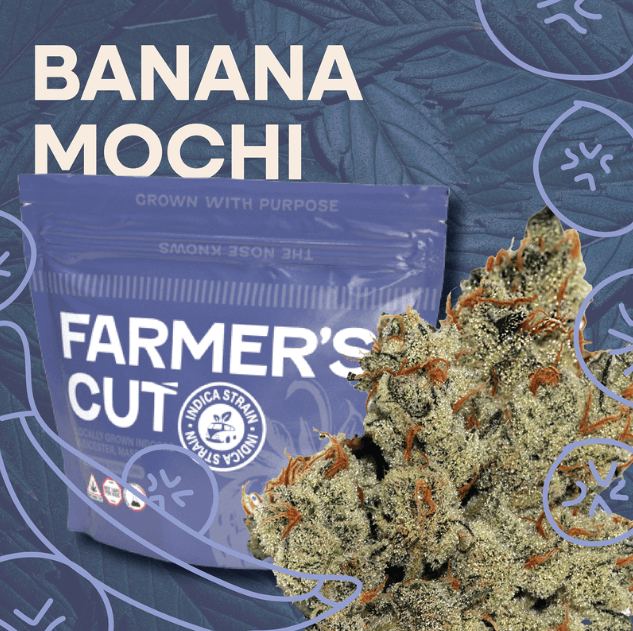 Farmer's Cut BANANA MOCHI 3.5G