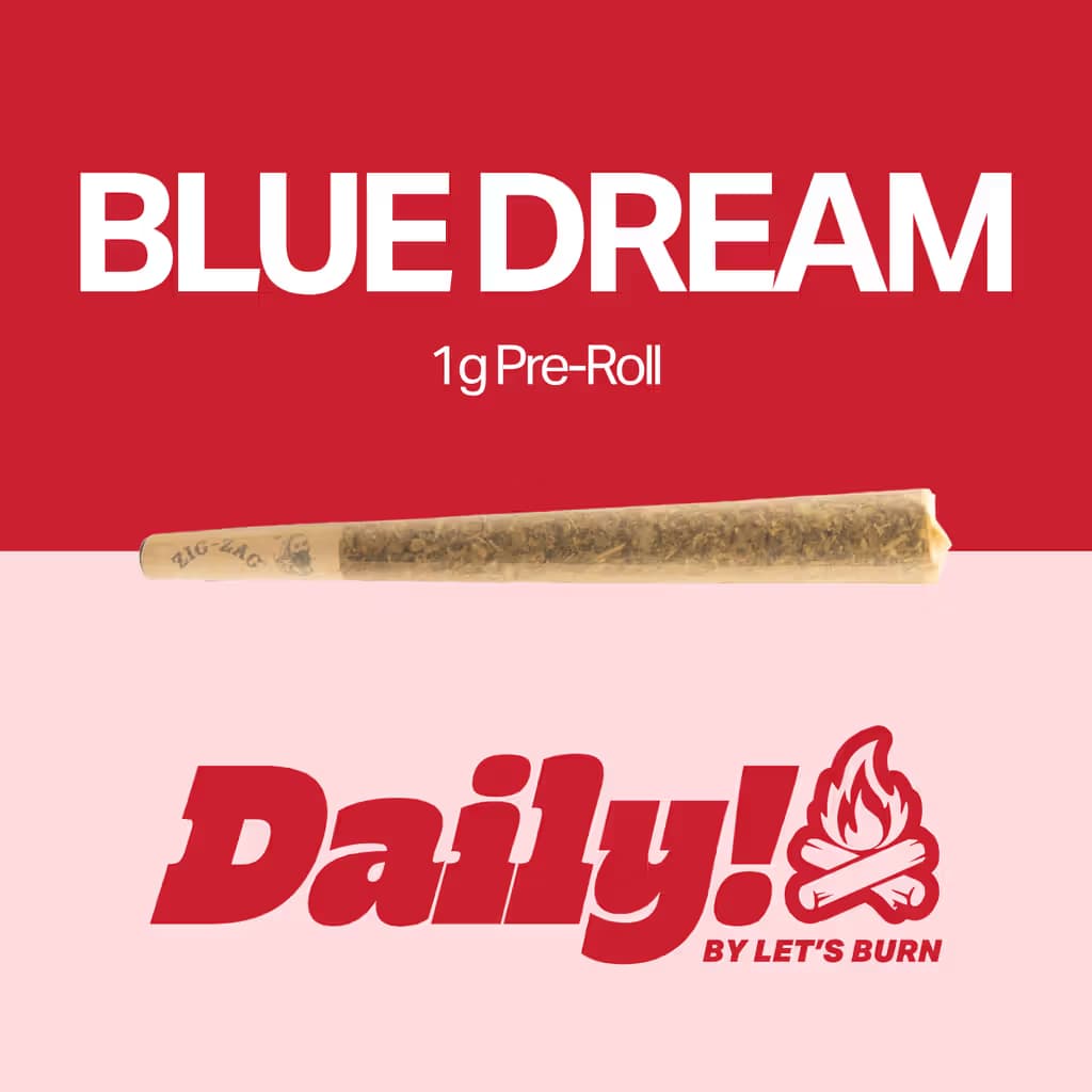 Daily! Daily! Blue Dream 1g Pre-roll 0074