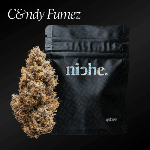 niche. Candy Fumez