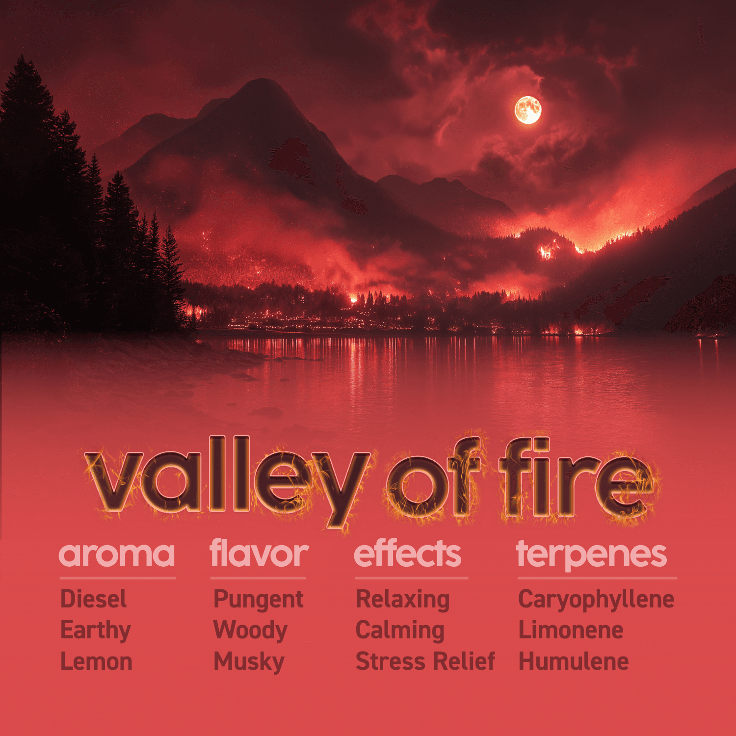 KYND Valley of Fire Smalls