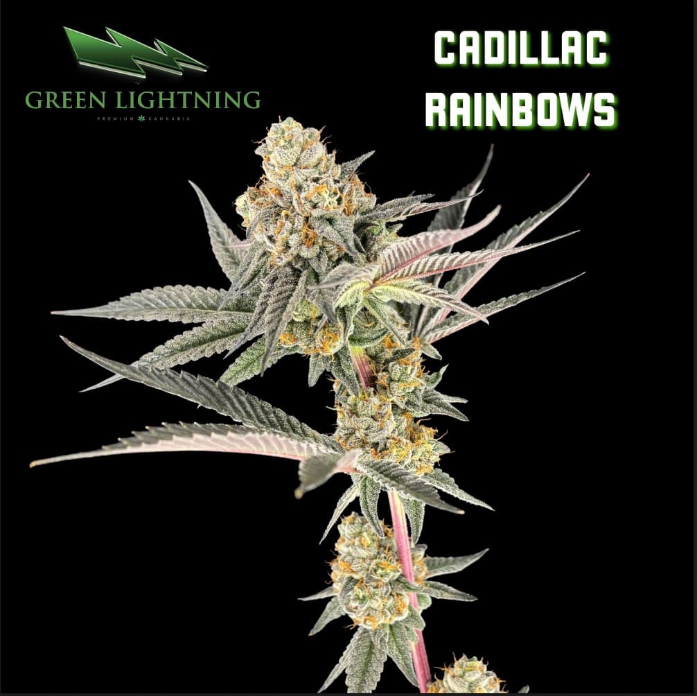 GREEN LIGHTNING